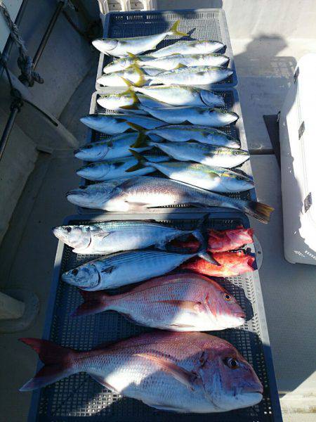 エンペラー 釣果