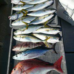 エンペラー 釣果