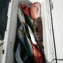 エンペラー 釣果