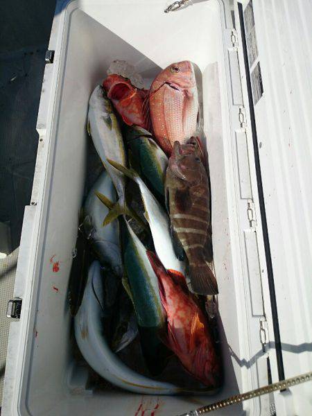 エンペラー 釣果