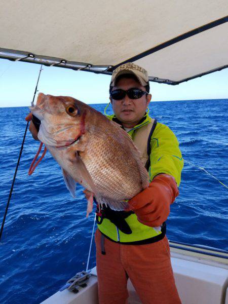 ソルトウォーターガイドフレンズ 釣果