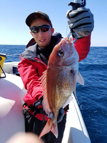 ソルトウォーターガイドフレンズ 釣果