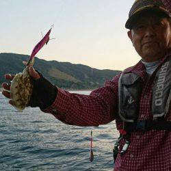 小島丸 釣果