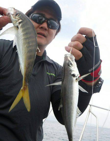 ブルースフィッシングサービス 釣果