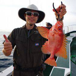 Big One　ビッグワン 釣果