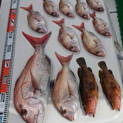 遊漁船 家入 釣果