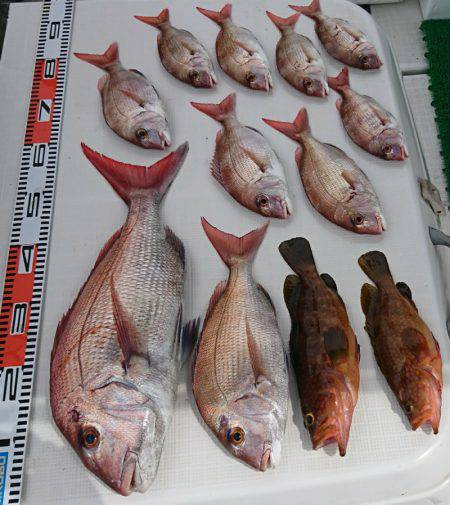 遊漁船　家入 釣果