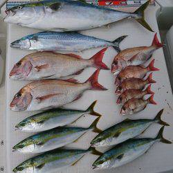 遊漁船　家入 釣果