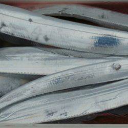 Big One　ビッグワン 釣果