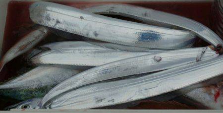 Big One　ビッグワン 釣果