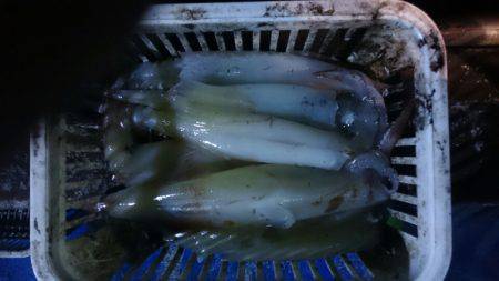 海龍丸（石川） 釣果