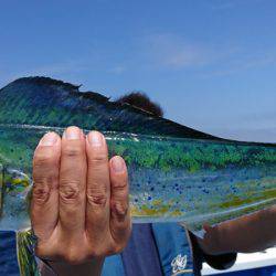 第三共栄丸 釣果