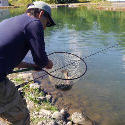 つりぼりあかし 釣果