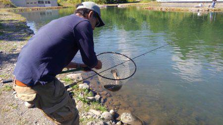 つりぼりあかし 釣果