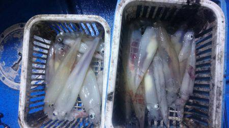 海龍丸(石川) 釣果