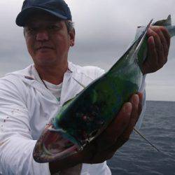 第三共栄丸 釣果