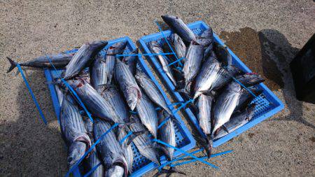 第三共栄丸 釣果