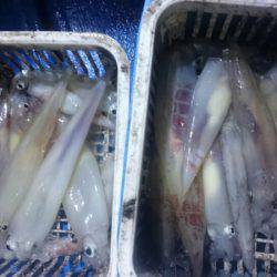 海龍丸（石川） 釣果