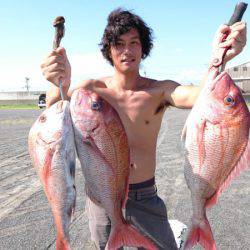 だて丸 釣果