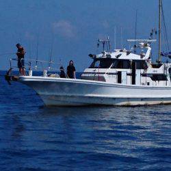 ARCADIAⅡ （アルカディアⅡ） 釣果