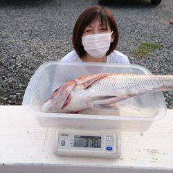 ARCADIAⅡ （アルカディアⅡ） 釣果