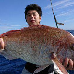 だて丸 釣果