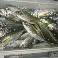 海龍丸（石川） 釣果