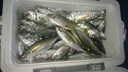 海龍丸（石川） 釣果