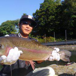 つりぼりあかし 釣果