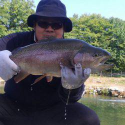 つりぼりあかし 釣果