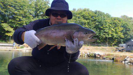 つりぼりあかし 釣果