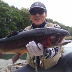 つりぼりあかし 釣果