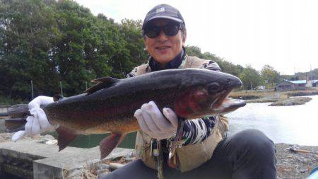 つりぼりあかし 釣果