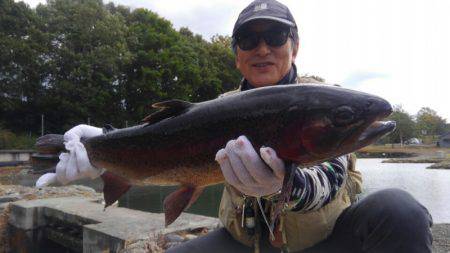 つりぼりあかし 釣果