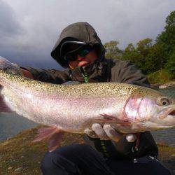 つりぼりあかし 釣果