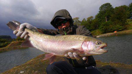 つりぼりあかし 釣果