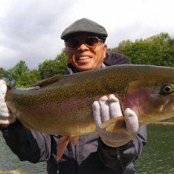 つりぼりあかし 釣果