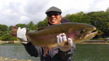 つりぼりあかし 釣果