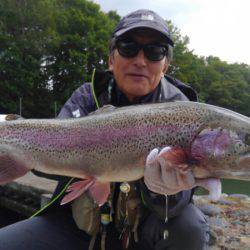 つりぼりあかし 釣果