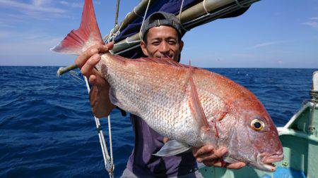 だて丸 釣果
