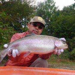 つりぼりあかし 釣果