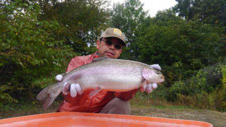 つりぼりあかし 釣果