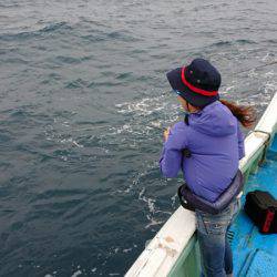 だて丸 釣果