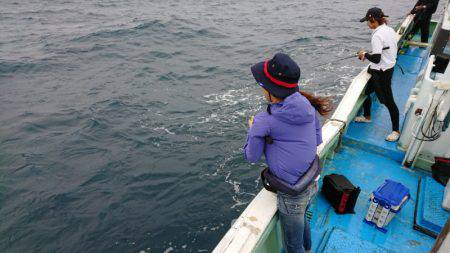 だて丸 釣果
