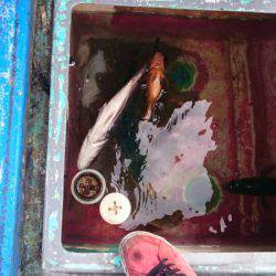 海龍丸（石川） 釣果