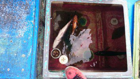 海龍丸（石川） 釣果