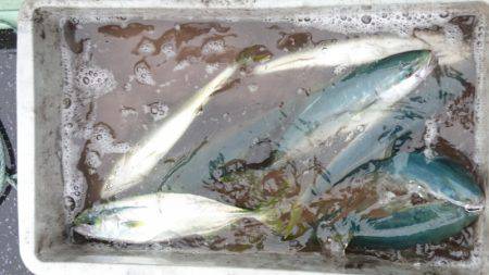 あみや渡船 JIGBOY 釣果