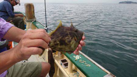 島きち丸 釣果