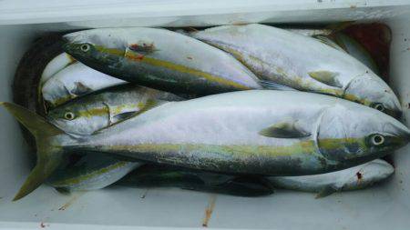 サンマリン 釣果