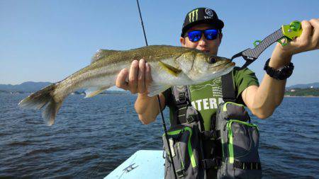 アマテラス 釣果